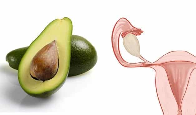 avocados-uterus-healing