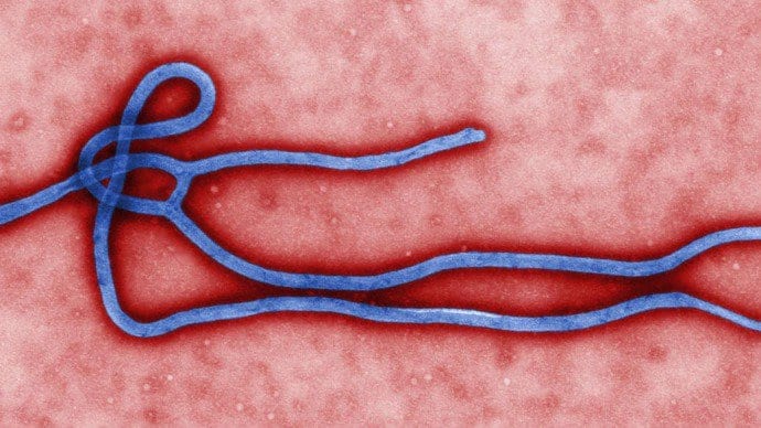 virus-ebola-virion-original