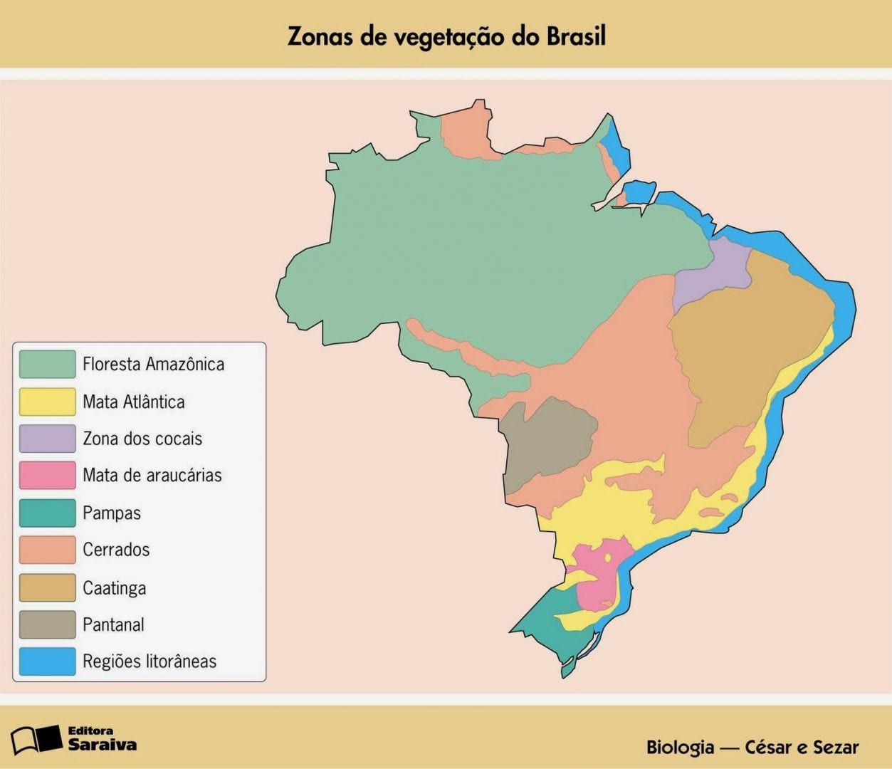 Vegetação do Brasil: uma riqueza incalculável que vem da variedade