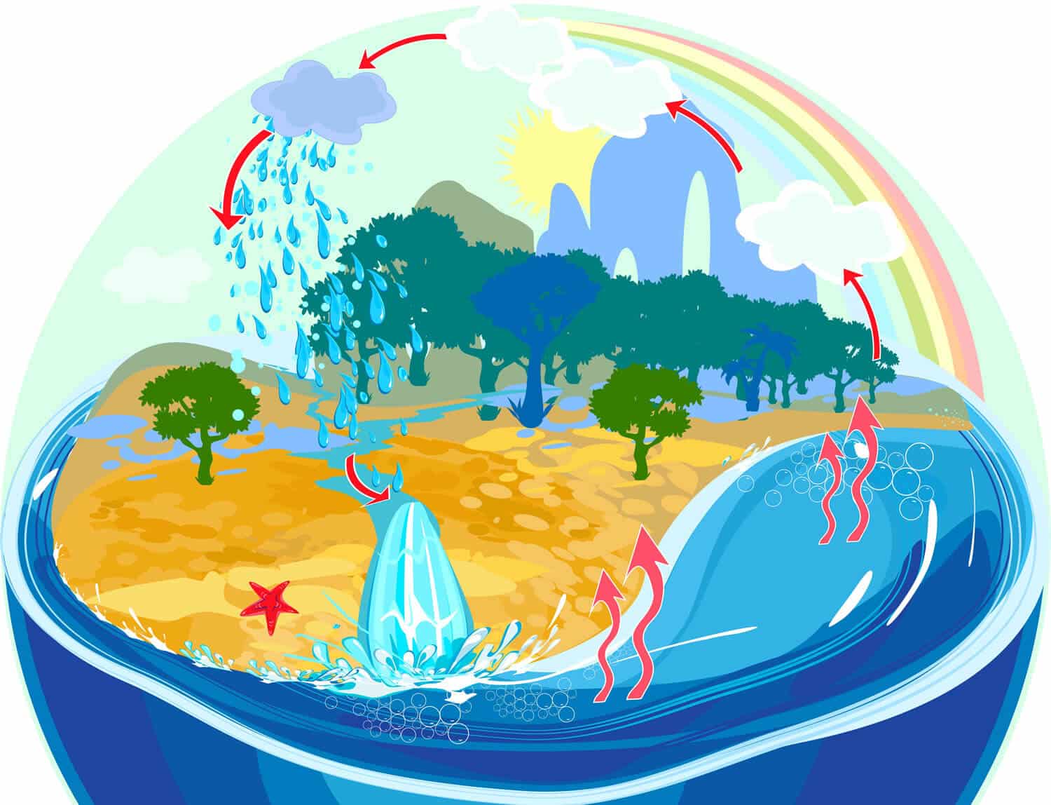 Entenda o que é o ciclo da água qual sua importância para a vida na Terra
