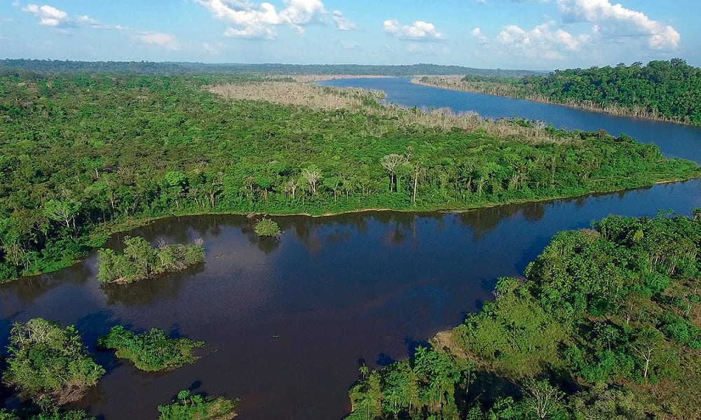 Você sabia que a Floresta Amazônica é a maior do mundo?