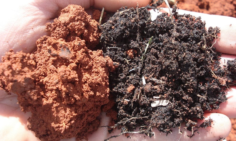 Você sabe qual a diferença entre um solo orgânico e outro inorgânico?