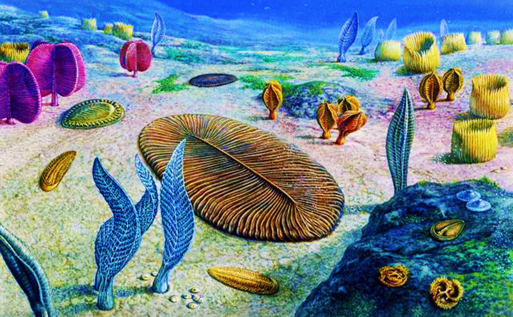 Você sabia que no éon Proterozoico a terra sofreu profundas mudanças?