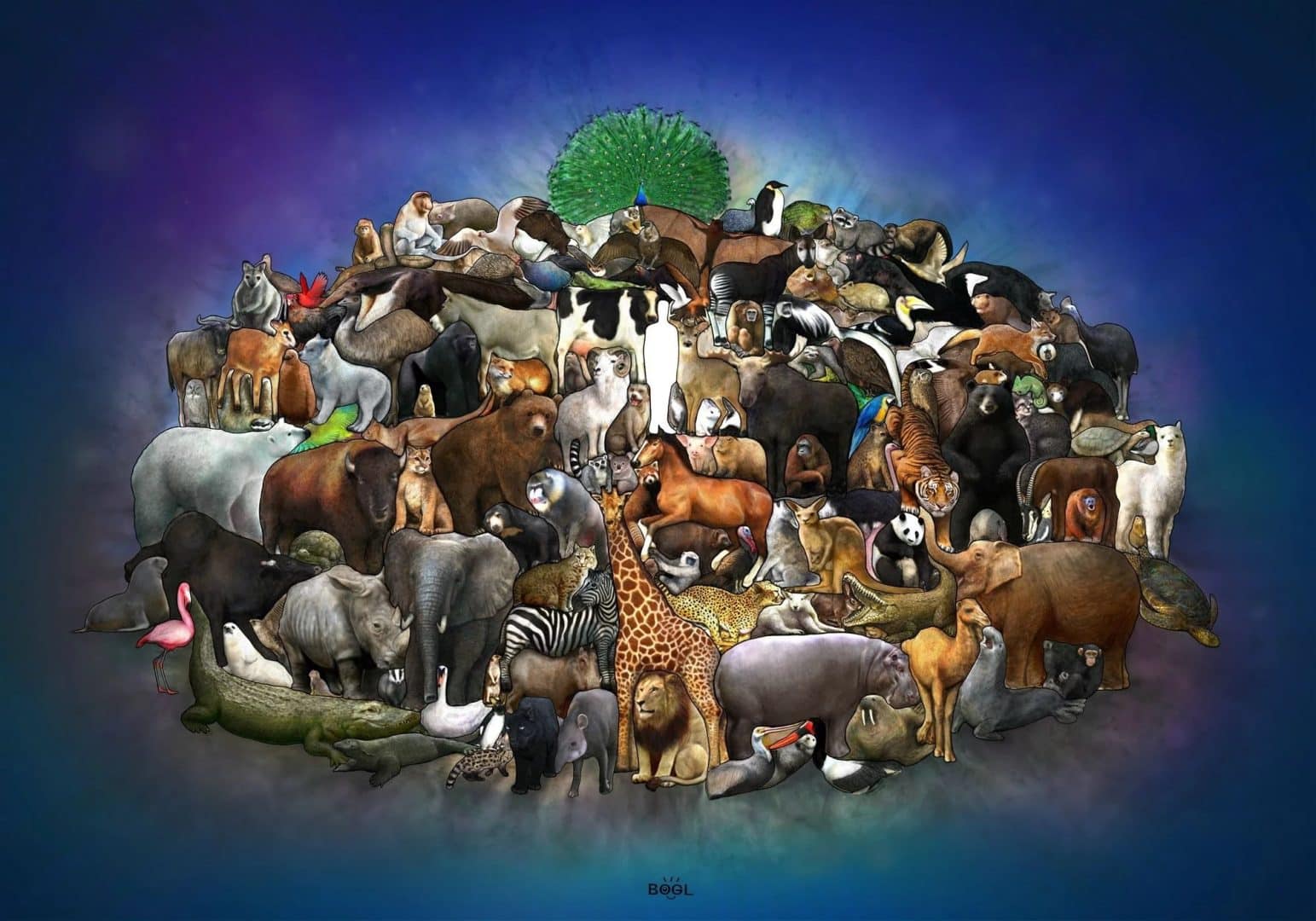 Conheça o Reino Animal, suas características e quais são seus membros