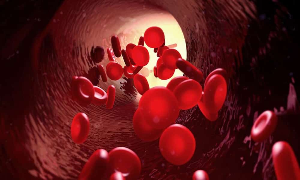 Conheça o sangue, sua composição, os tipos sanguíneos e o Fator RH