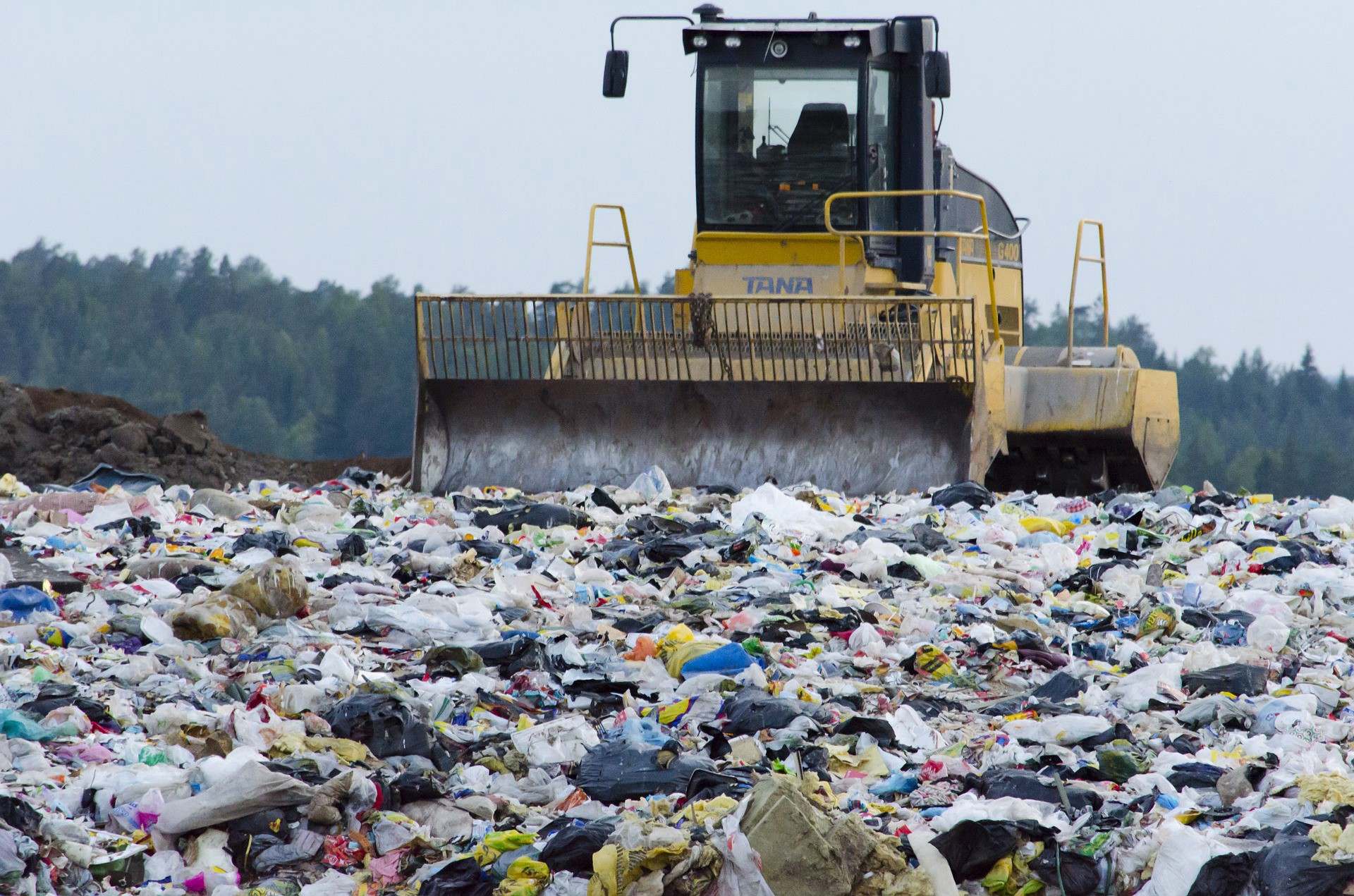 O lixo se tornou um grave problema no mundo, mas sua origem é remota
