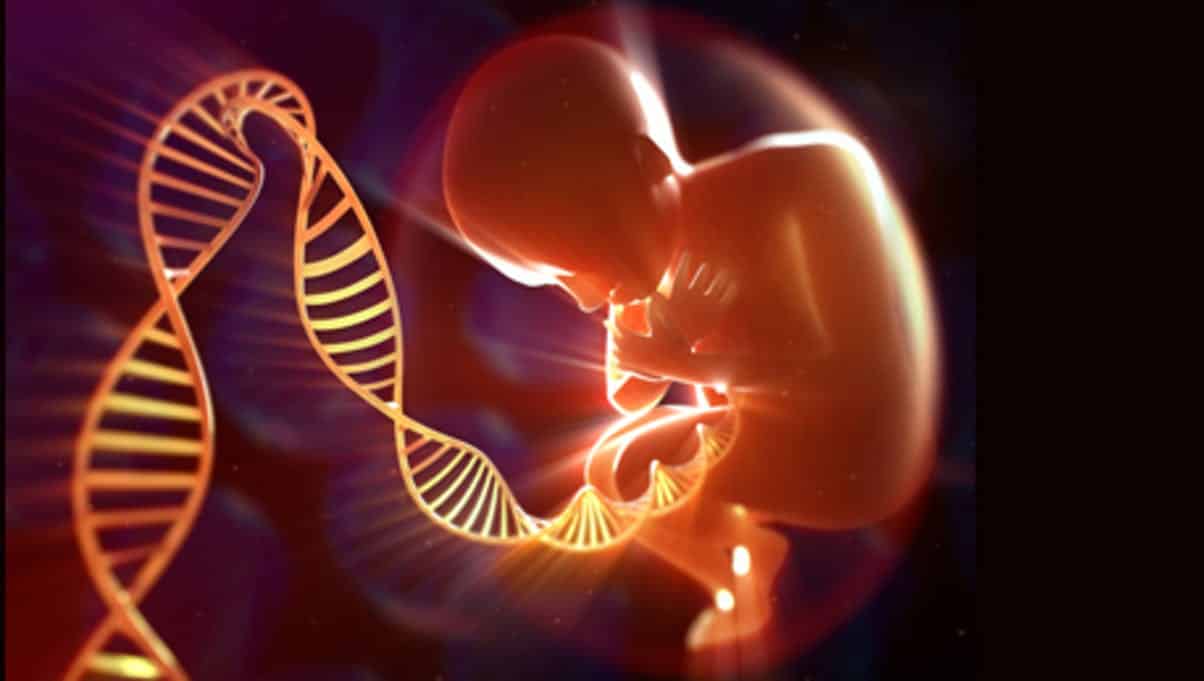 Genes – dominantes e recessivos, a hereditariedade, cromossomos X e Y