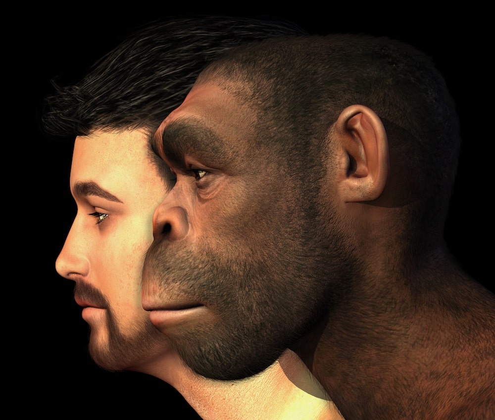 Homo Sapiens: origem e características da única espécie humana viva
