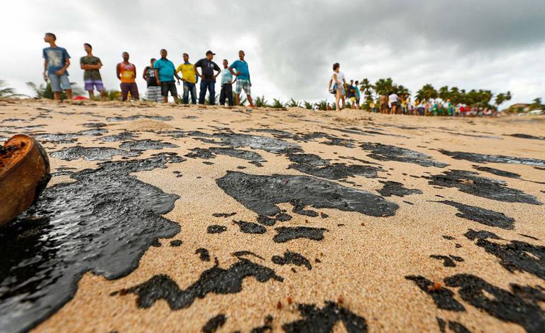 Saiba as consequências do vazamento de óleo no litoral brasileiro