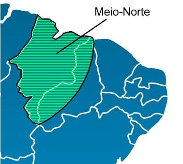 Estados da região Nordeste - Característica geográfica, clima e vegetação
