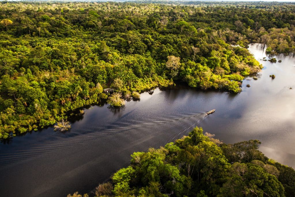 Amazonas: Entenda sua importância para o Brasil e para o Mundo 