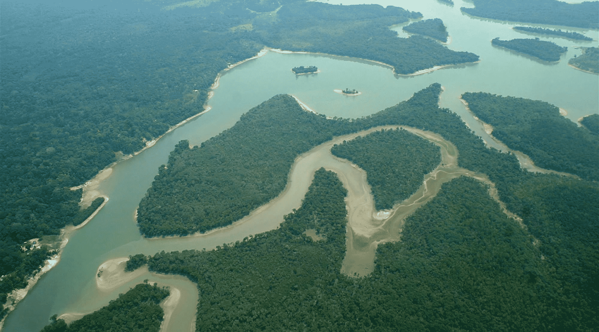 Amazonas: Entenda sua importância para o Brasil e para o Mundo 