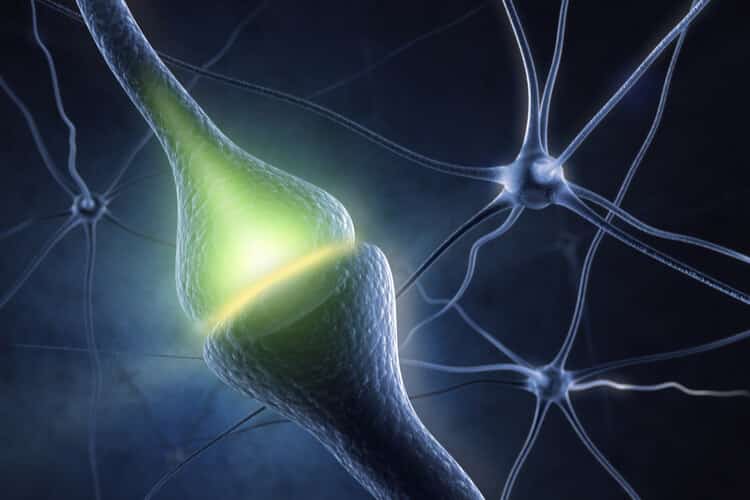 Dopamina: Conheça mais sobre o neurotransmissor do prazer
