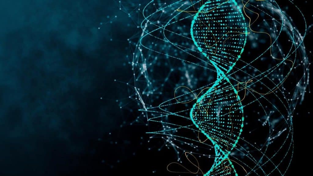 DNA - para que serve, estrutura, funções e onde pode ser encontrado