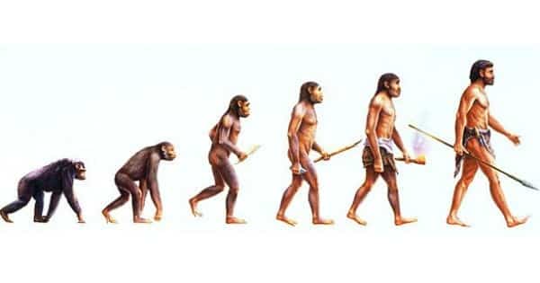 Teoria da evolução segundo Charles Darwin