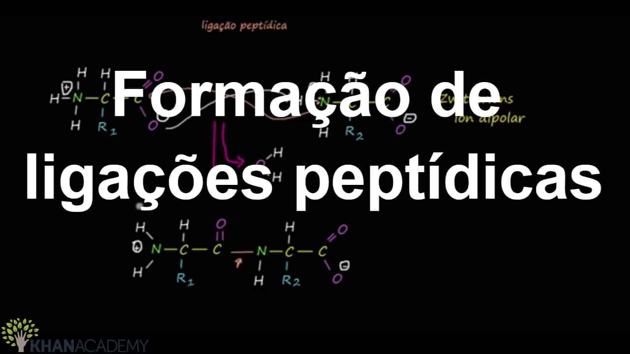 Ligação peptídica - O que é, como ocorre e estrutura do aminoácido