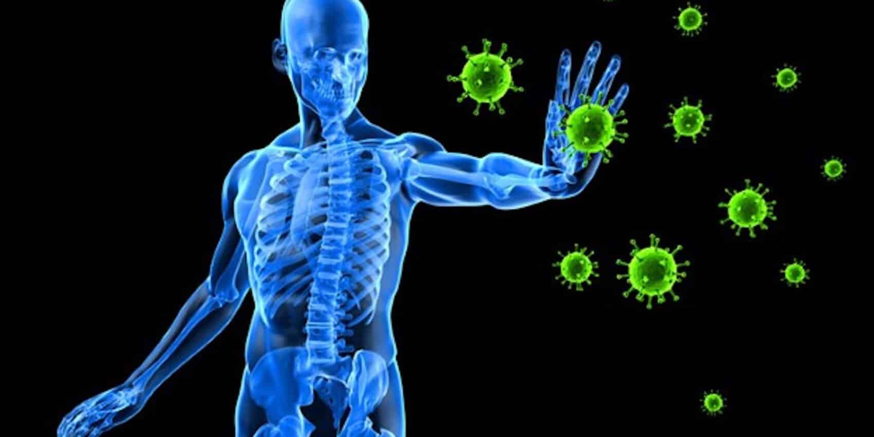 Sistema imunológico - O que é, tipos de imunidade e órgãos imunitários