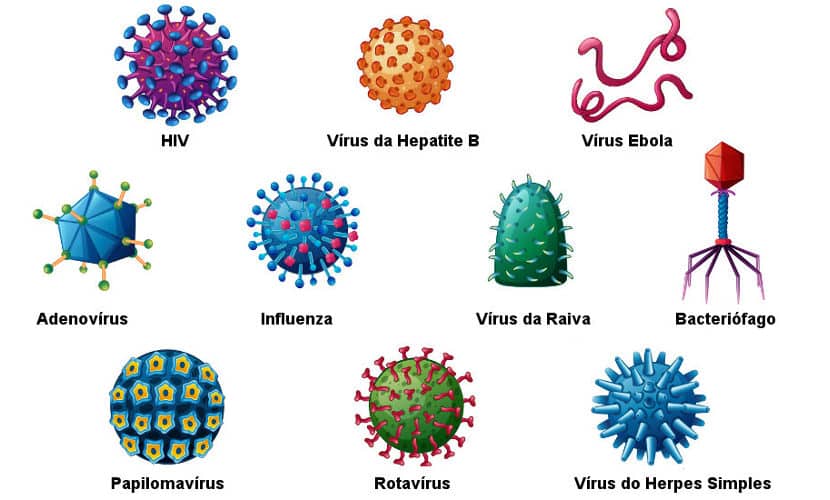 Vírus, o que são? Definição, estrutura, viroses e como se reproduzem