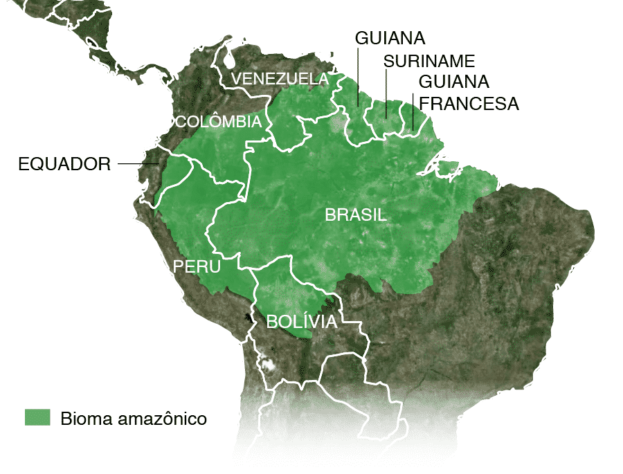 Amazônia - características do bioma, mapa,
