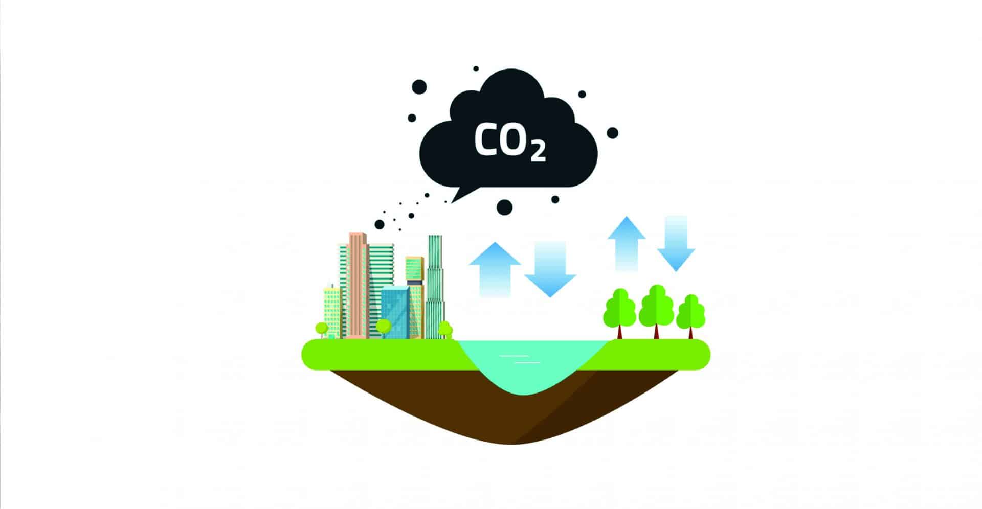 Ciclo do Carbono, o que é? Definição, característica, etapas e importância