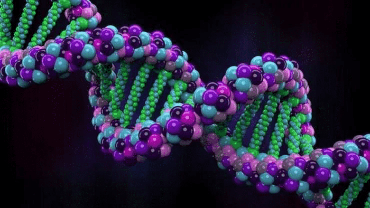 Ácidos nucleicos - o que é, características e descoberta