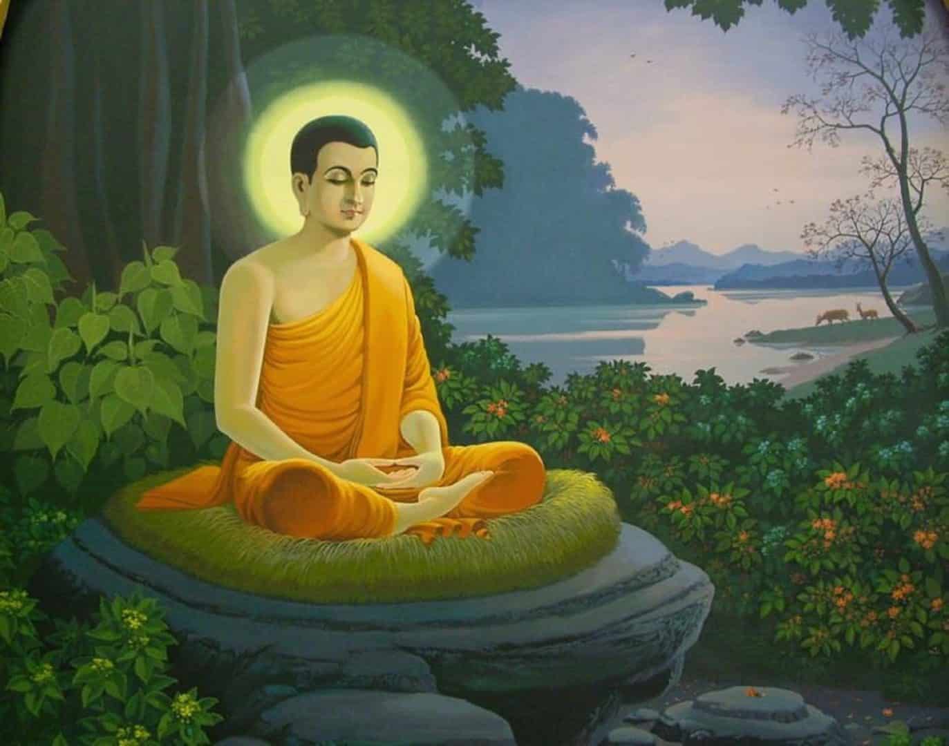 Buda debaixo da figueira