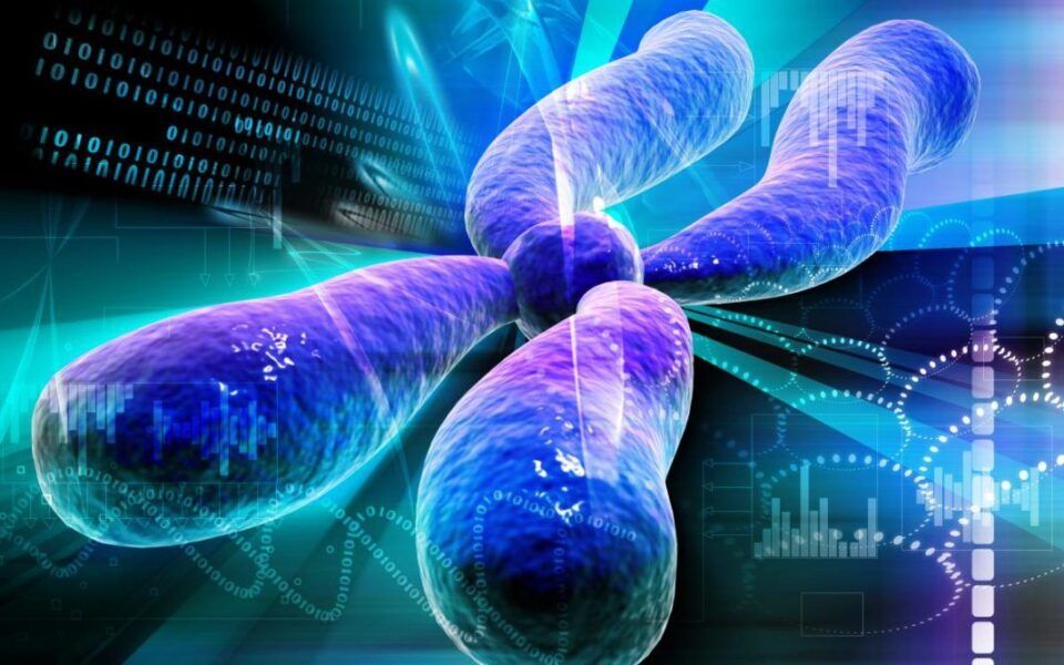 Genética - O que é, os elementos básicos e as principais descobertas
