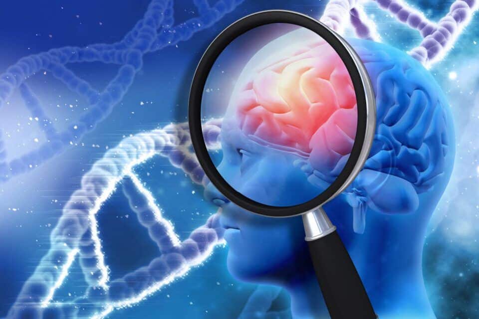 Genética - O que é, os elementos básicos e as principais descobertas