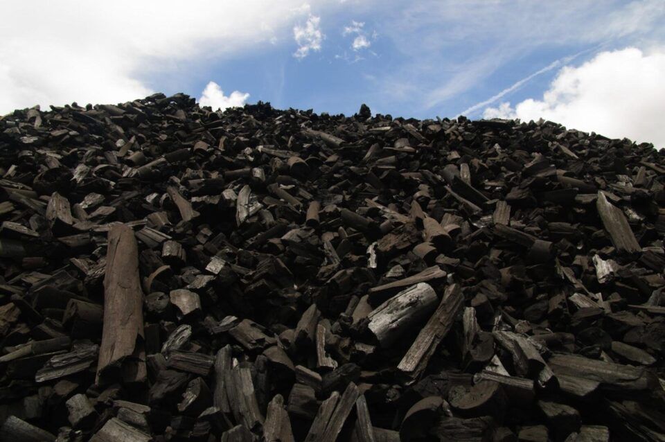 Carvão vegetal, o que é? Definição, características e para que serve