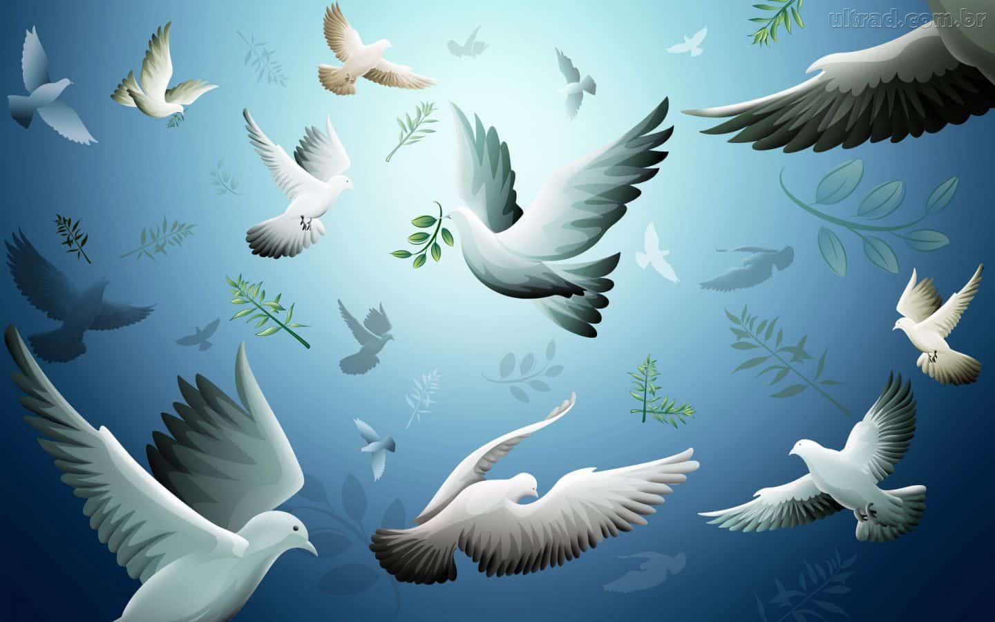 Dia Mundial da Paz - Contexto histórico, origem, cerimônia e curiosidades