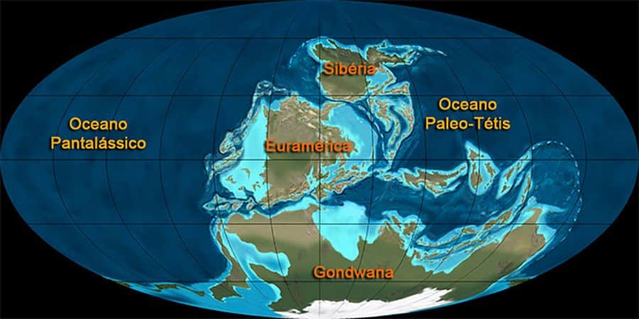 Era Paleozoica: conceito, cronologia, períodos e características