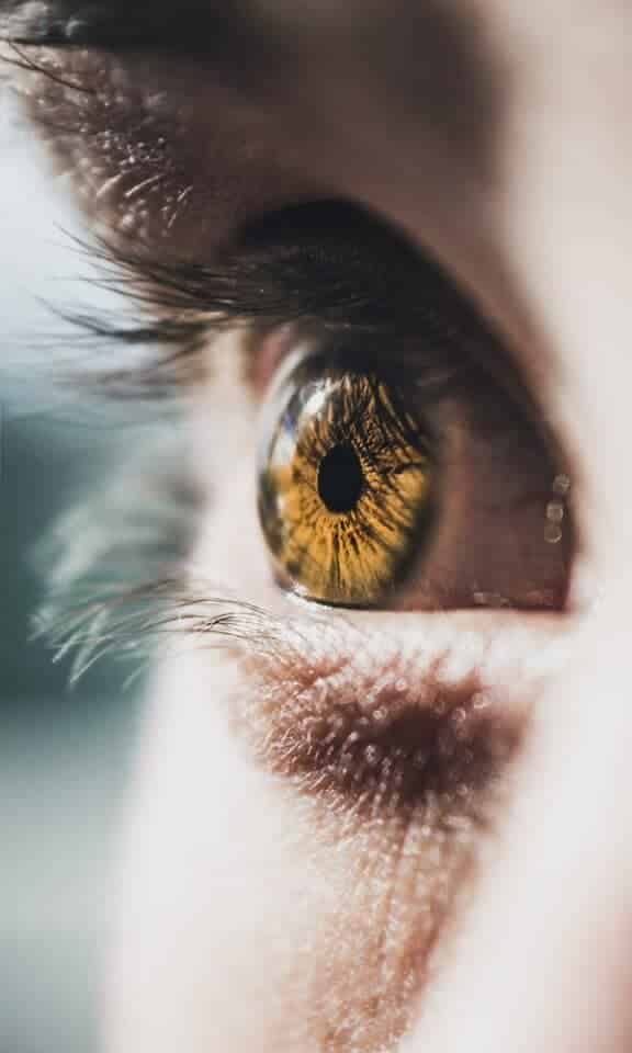 Cores dos olhos: Incidências, genética e variações fenotípicas